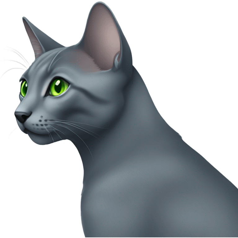 Russian blue with green eyes profile emoji