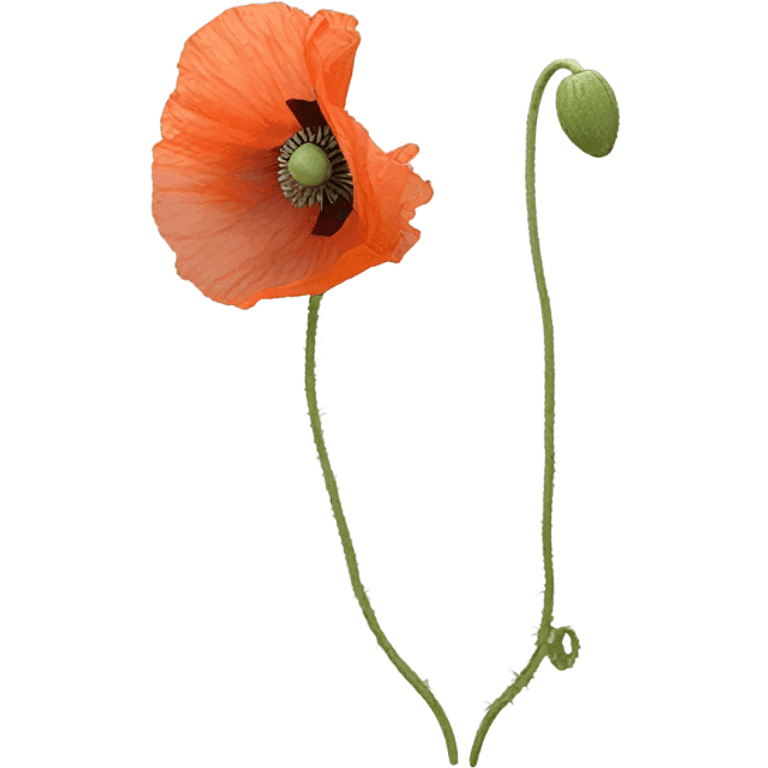 Sick Poppy flower emoji