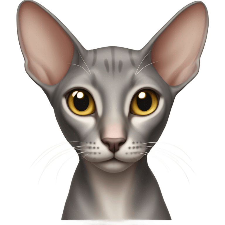 Oriental shorthair cat emoji