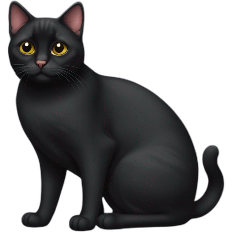 fat bombay cat emoji