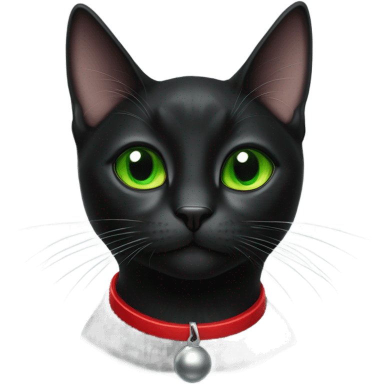 Small black cat wearing red collar with bell emoji