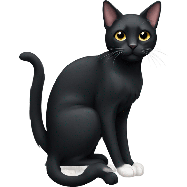 black cat with white chest and white paws emoji