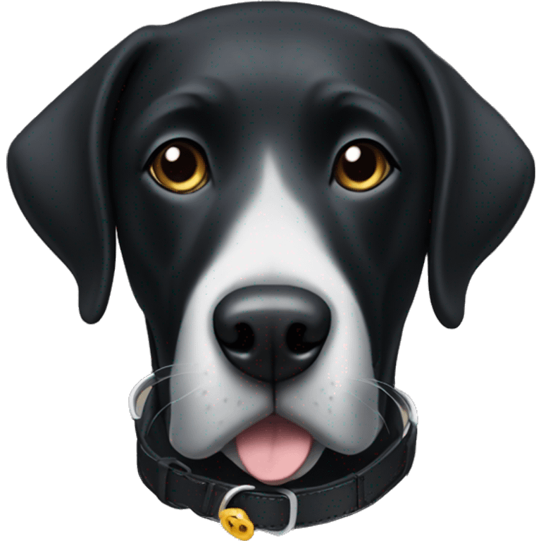 A black lab dog (just the head) with a collar that says Gus  emoji