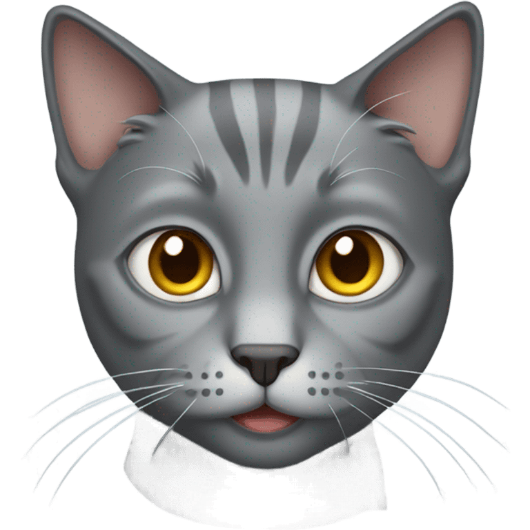 Gray cat emoji