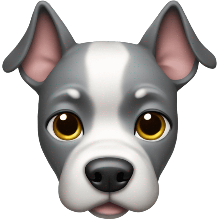 staff bull grey dog  emoji