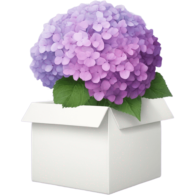 faded hydrangea from pink to purple inside white box emoji