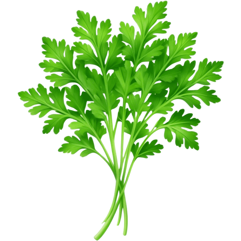 Cinematic Realistic Parsley Emoji, Fresh and vibrant, with bright green, frilly leaves that seem to shimmer with vitality. The plant exudes a sense of healthy growth and aromatic zest, inviting both beauty and flavor into any dish. Soft glowing outline, capturing the essence of freshness, health, and culinary delight in a sprig of parsley! emoji