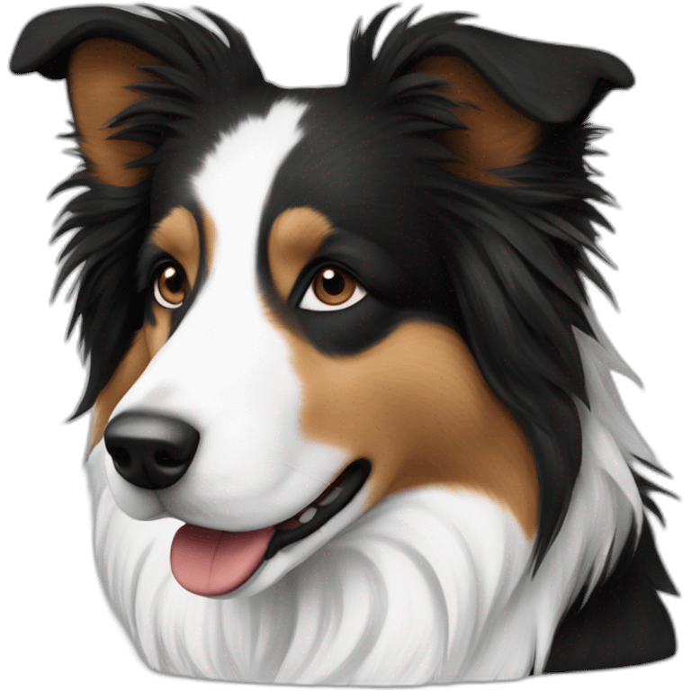 shelti border collie only black white color emoji