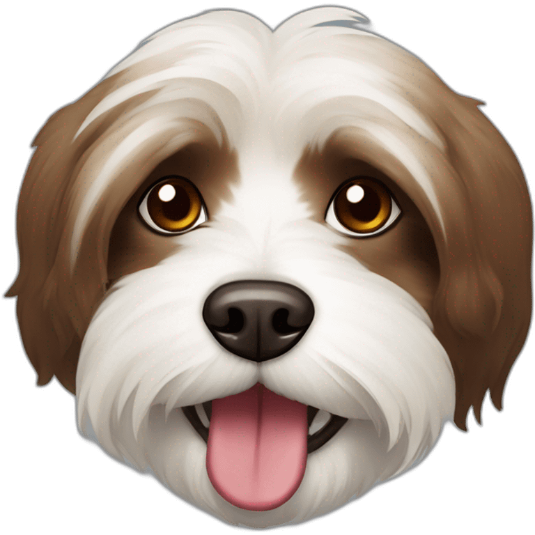 Brown and white havanese dog vampire teeth emoji