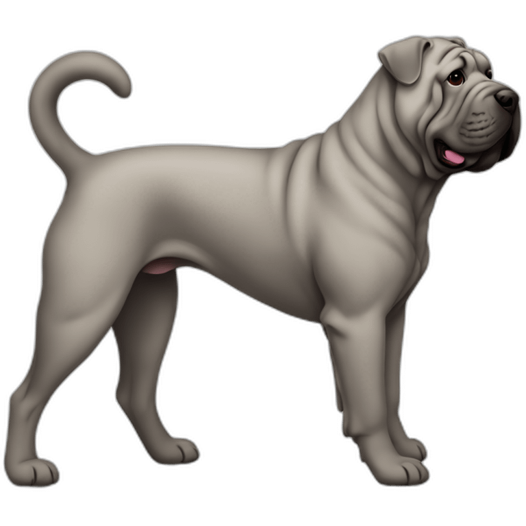 Dog gray shar-pei full-height emoji