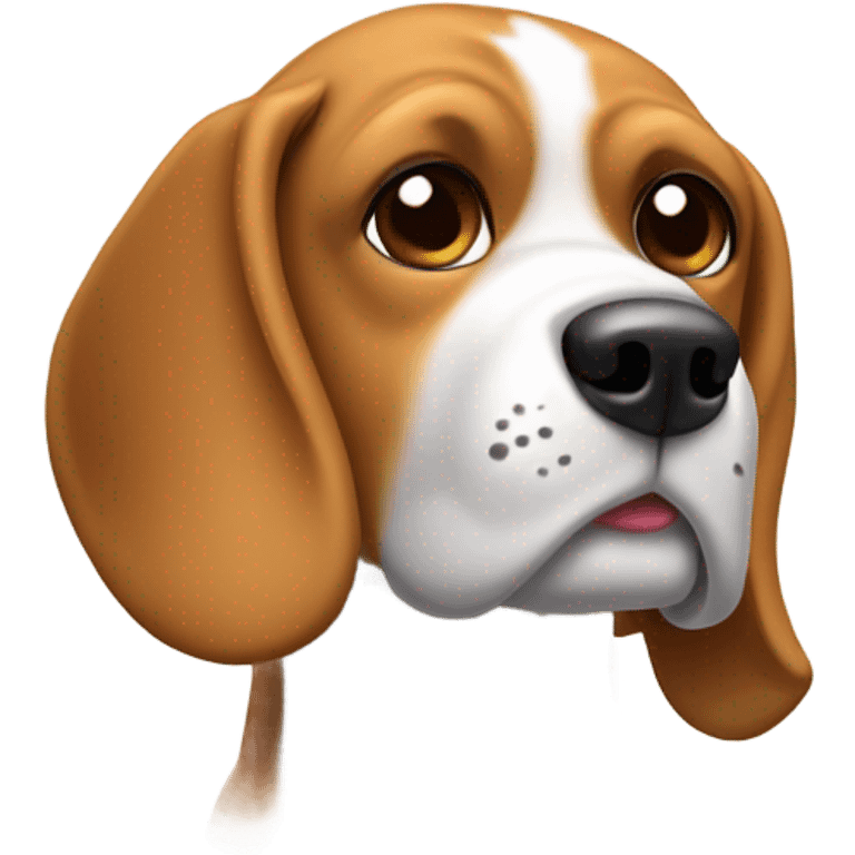 Perro beagle panzón  emoji