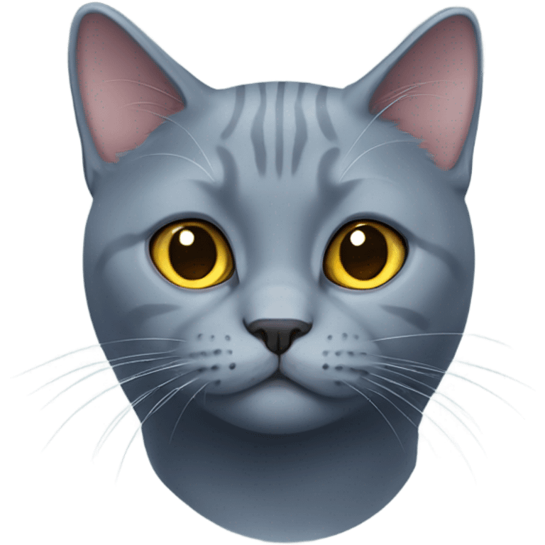 British blue cat  emoji