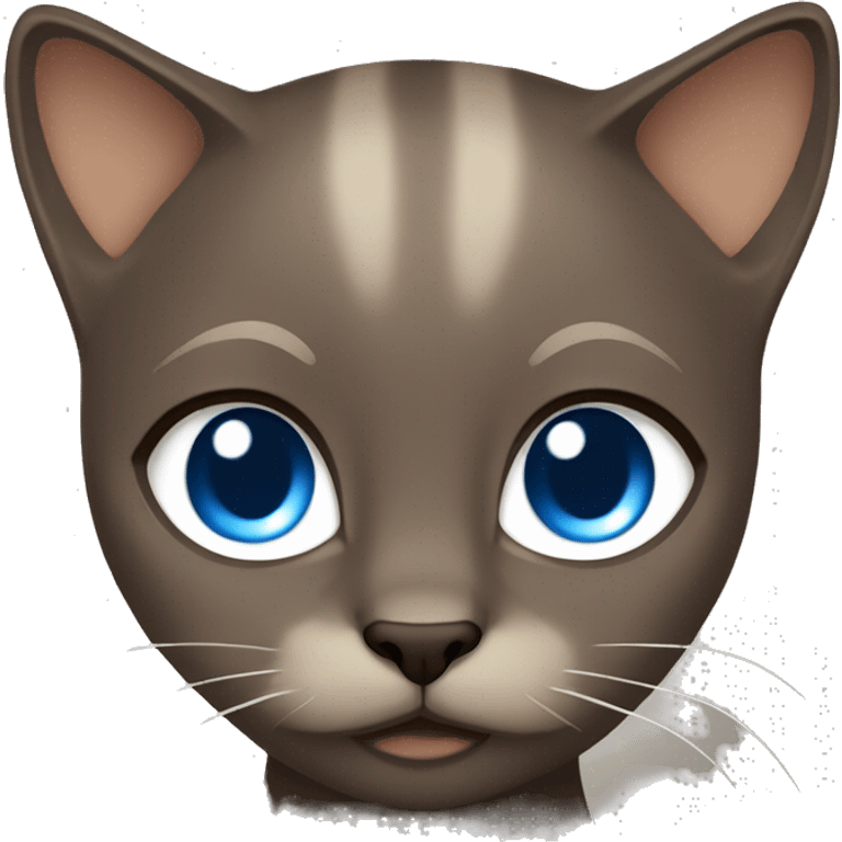 Dark Brown face - beige body and ears female siamise cat with blue eyes  emoji