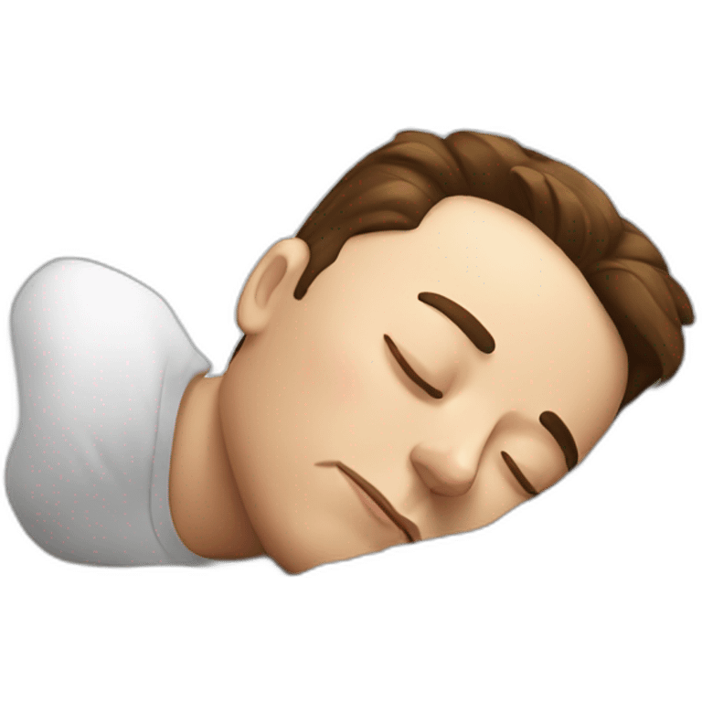 elon musk sleeping emoji