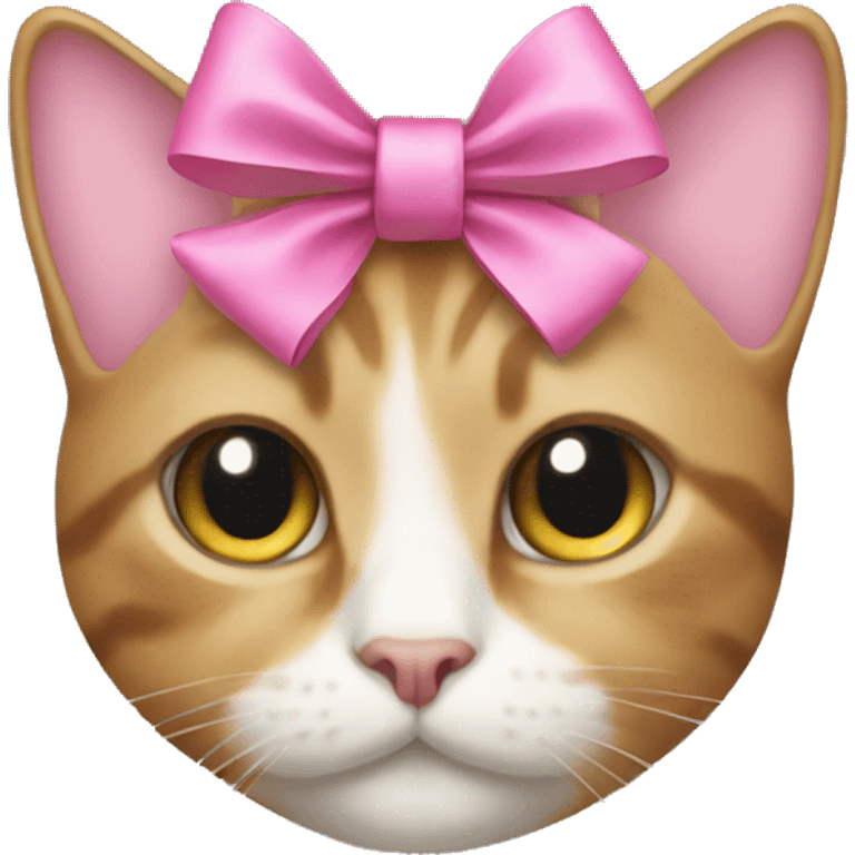 Cat with a pink bow  emoji