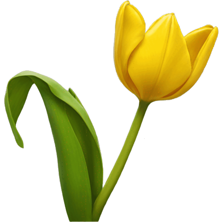 yellow tulip emoji