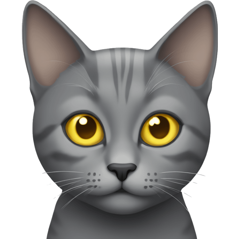 gray cat with yellow eyes without stripes emoji