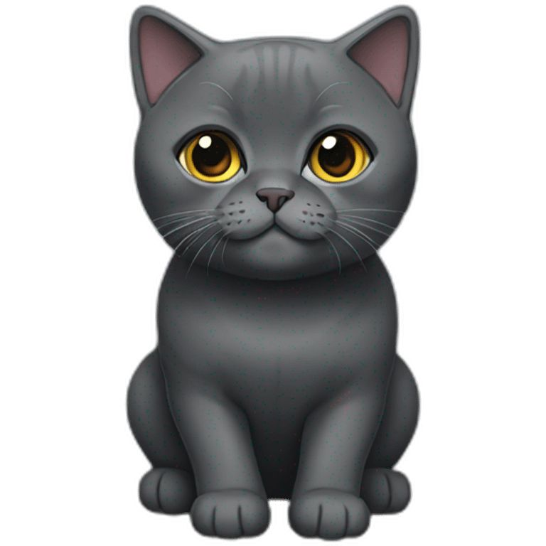 black British Shorthair emoji