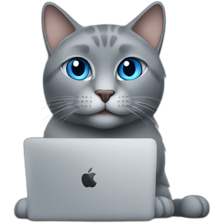 A blue-eyed gray cat with a macbook computer emoji