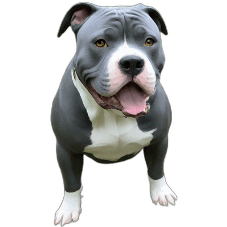 american bully emoji