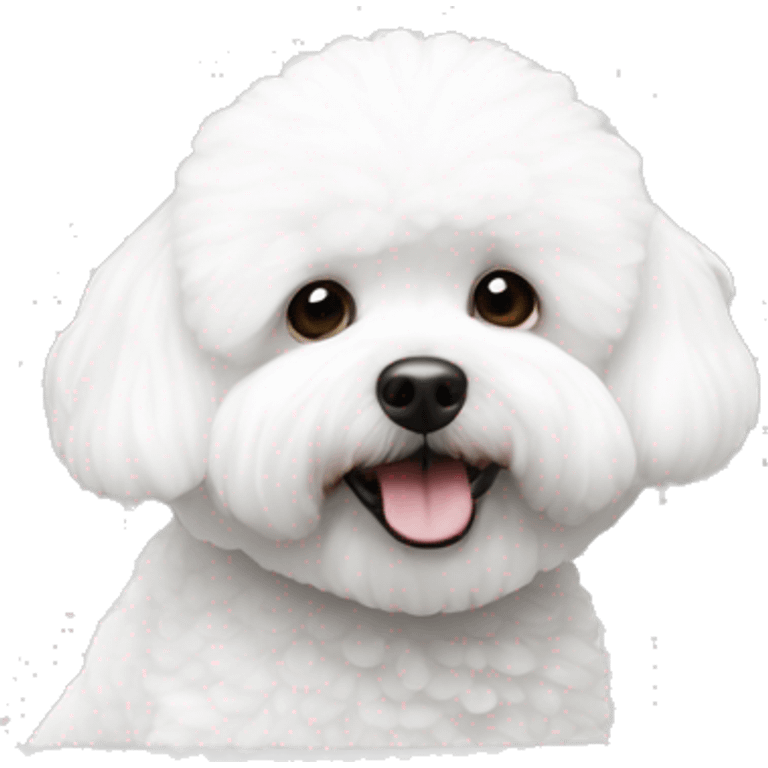 bichon frise in bath emoji