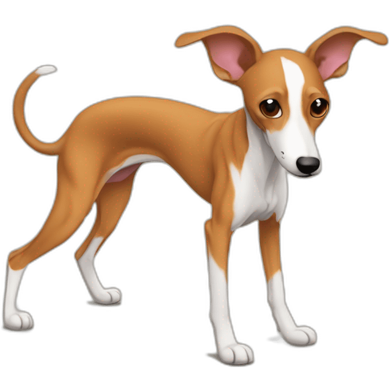 Podenco marrón en gimnasio emoji