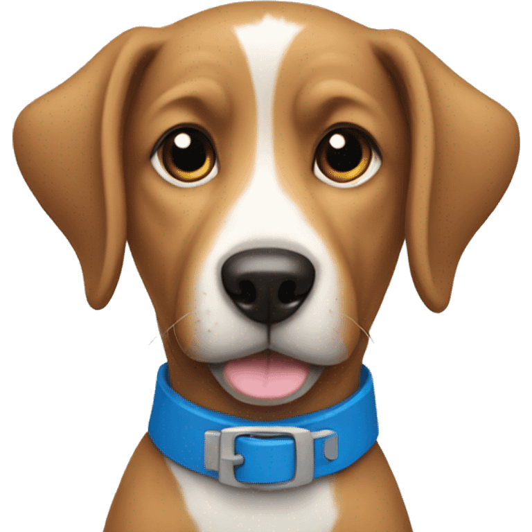 dog with blue collar emoji