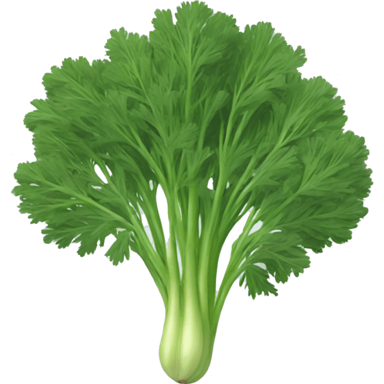 Dill  emoji