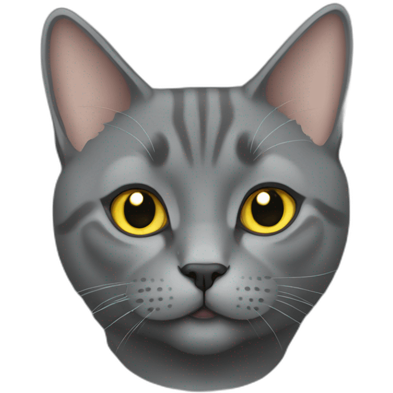 Chartreux emoji