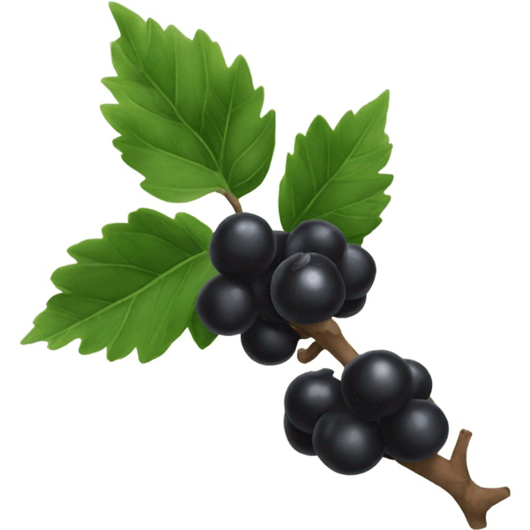 black little berries branch emoji