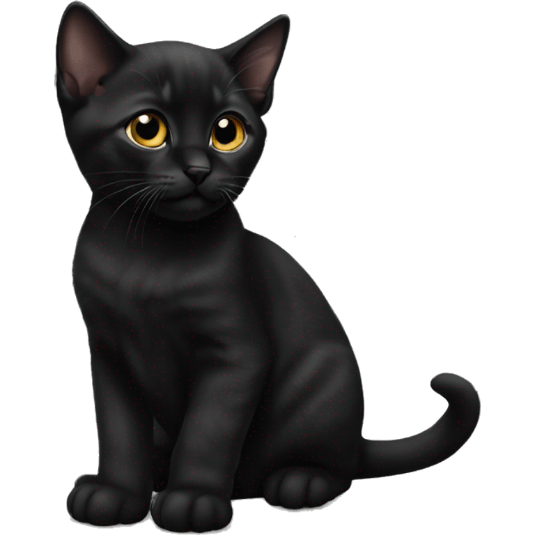 Black Bombay kitten laying emoji