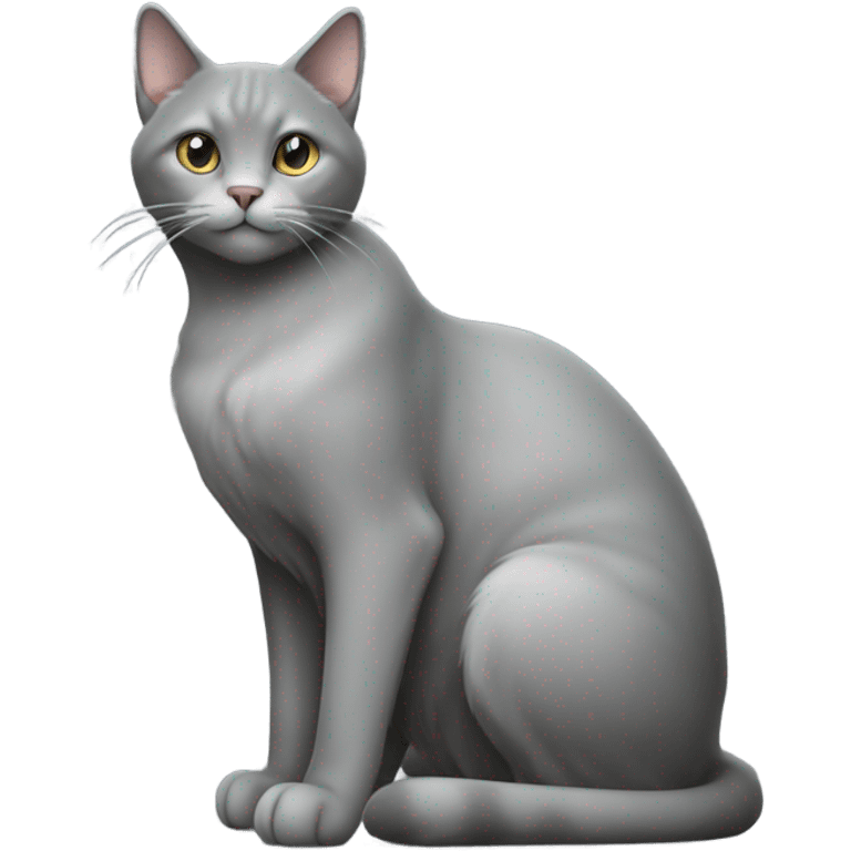 Grey cat sitting  emoji