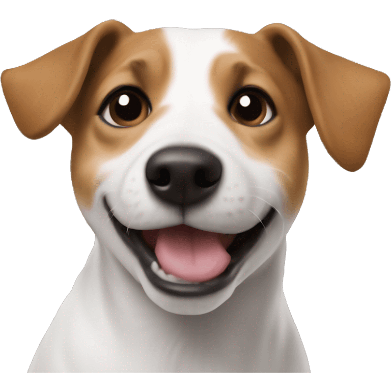 Dog Jack Russel ￼ emoji