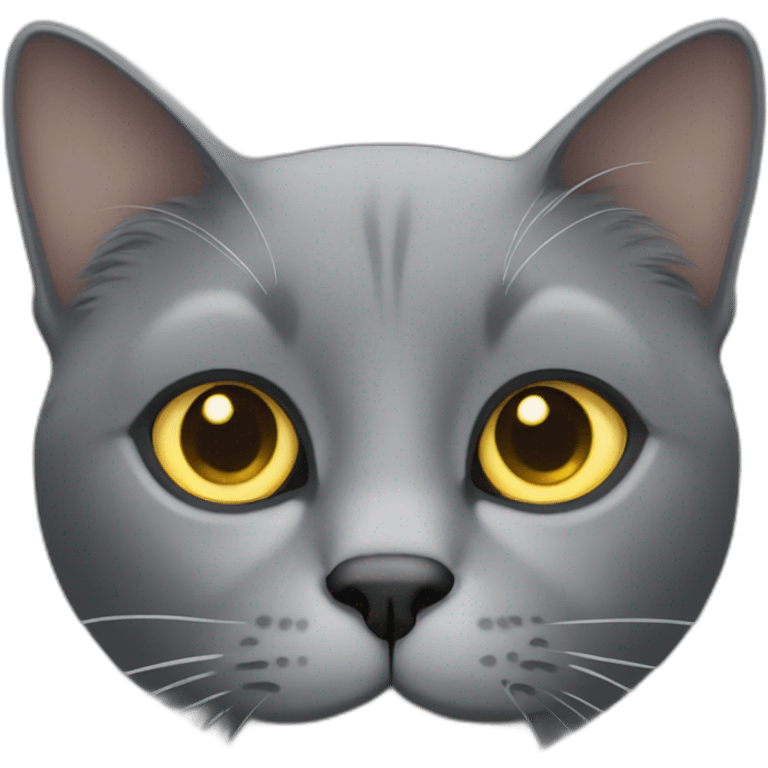 grey cat with golden eyes emoji