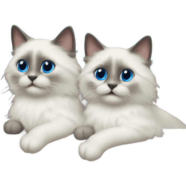 Two blue point ragdoll cats driving a car  emoji