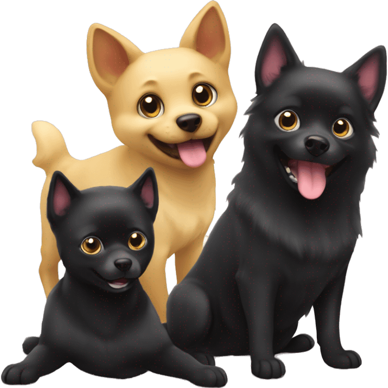 Schipperke dog playing with Burmese cat  emoji