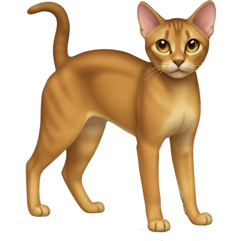 Chausie Cat Full Body emoji