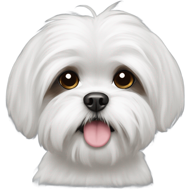 Black shih tzu Maltese emoji