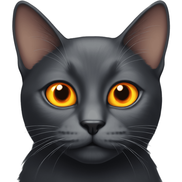 Black cat with orange eyes  emoji