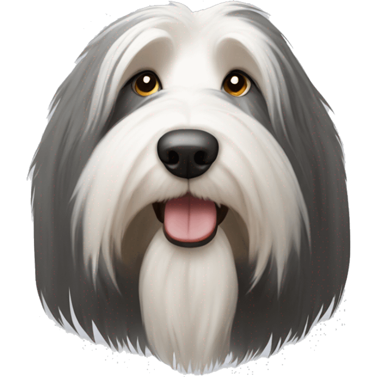 Bearded collie emoji