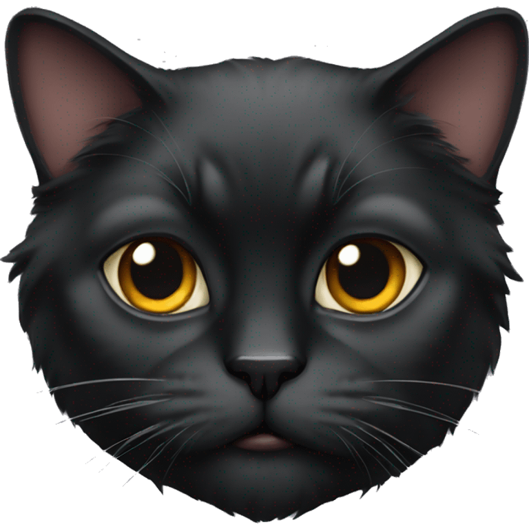 Persian black cat emoji