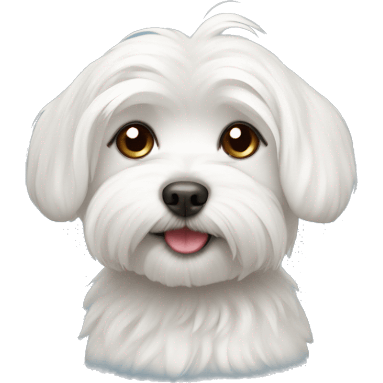 Cute Maltese dog emoji