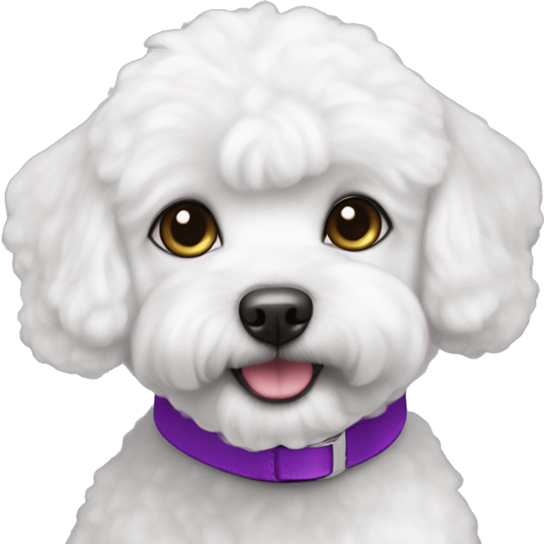 White bichon maltais with purple collar and grey eyes emoji