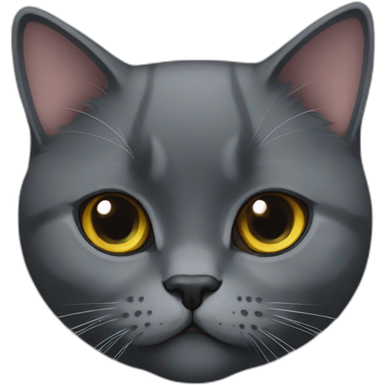 A black British shorthair cat emoji