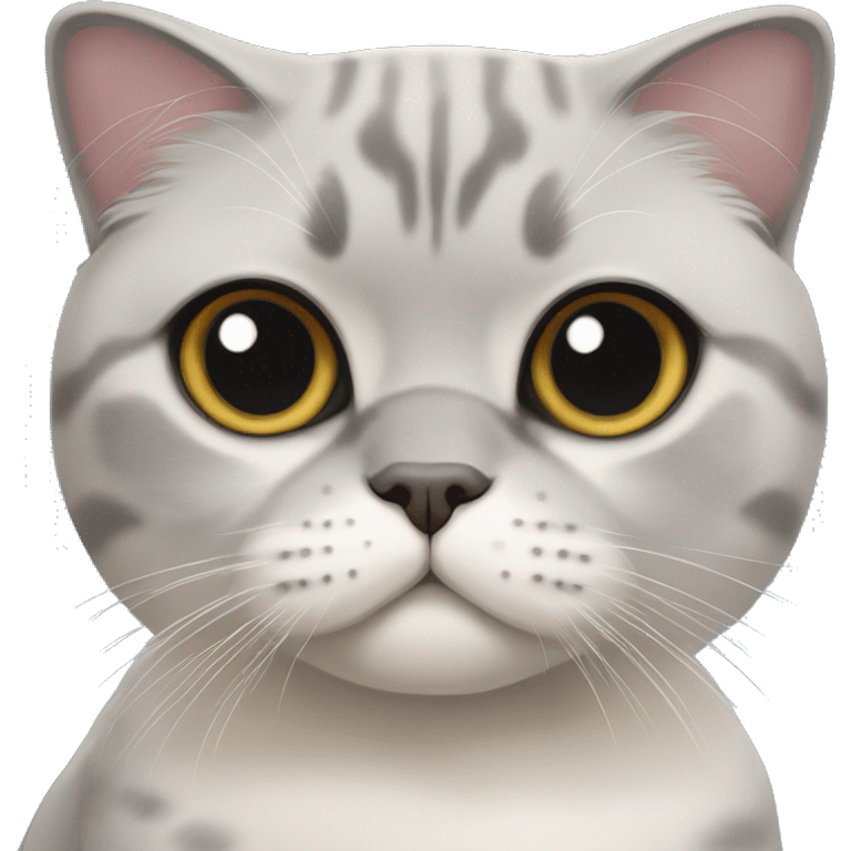 scottish fold blue point cat emoji