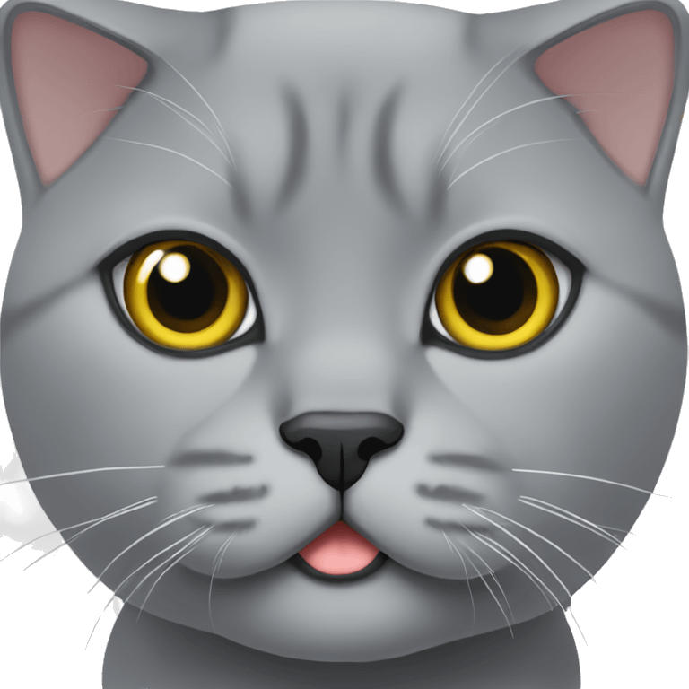 britishshorthair in grey emoji