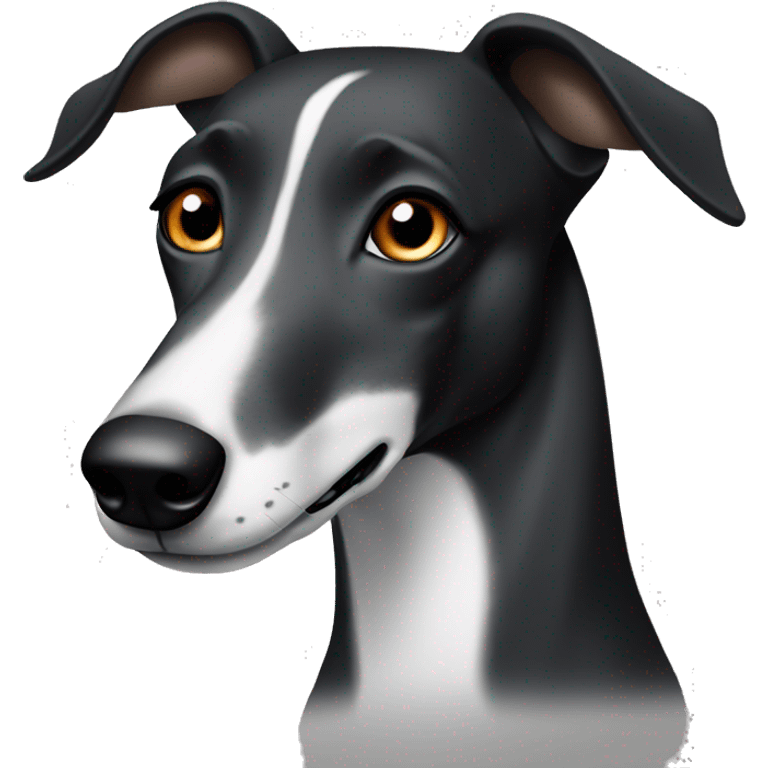 Black and white greyhound with brown eyes and half her face black  emoji