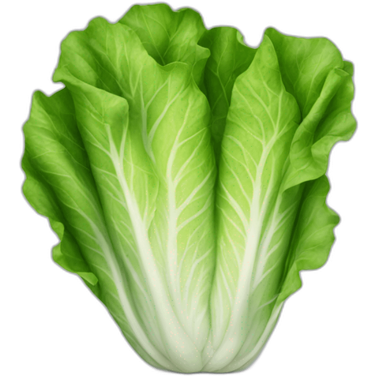 roman lettuce emoji