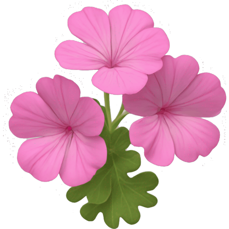 Pink geranium emoji