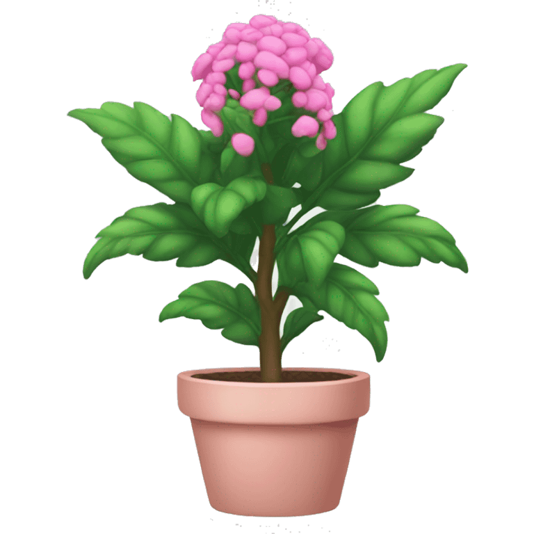 Pink plant emoji